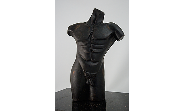 Male Torso